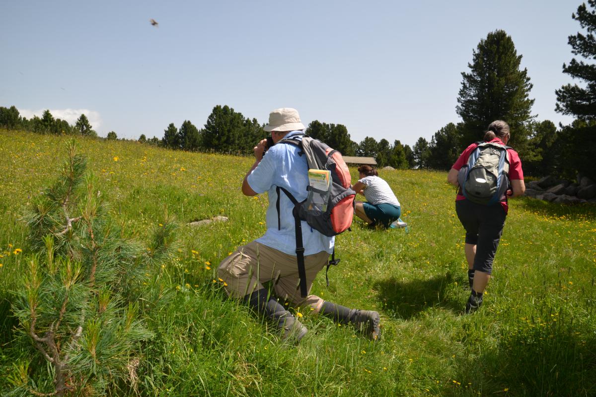 Platzer Alm 27.06.2022